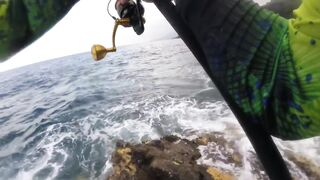 La Palma spinning: medregal 16 кг, рельеф и приманки