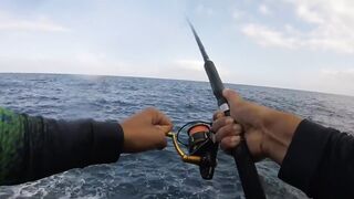 La Palma spinning: medregal 16 кг, рельеф и приманки