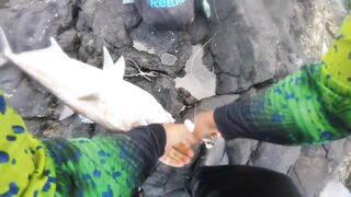 La Palma spinning: medregal 16 кг, рельеф и приманки