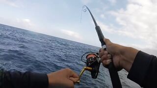 La Palma spinning: medregal 16 кг, рельеф и приманки