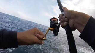 La Palma spinning: medregal 16 кг, рельеф и приманки