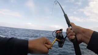 La Palma spinning: medregal 16 кг, рельеф и приманки