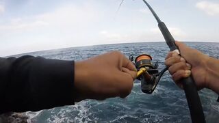 La Palma spinning: medregal 16 кг, рельеф и приманки