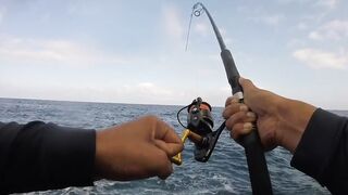 La Palma spinning: medregal 16 кг, рельеф и приманки