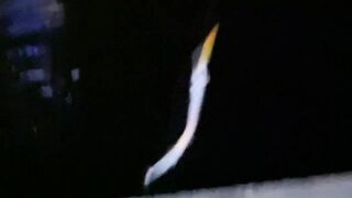 El Hierro, короткий трип: рокфишинг на маленьком острове