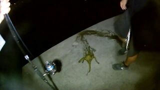 El Hierro, короткий трип: рокфишинг на маленьком острове