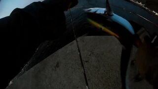 El Hierro, короткий трип: рокфишинг на маленьком острове