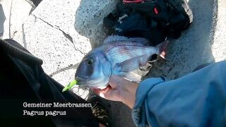 El Hierro, короткий трип: рокфишинг на маленьком острове