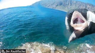 El Hierro 2 - Angeln - Rockfishing - Spinnfischen auf der kleinsten Insel der Kanaren!