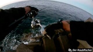 El Hierro 2 - Angeln - Rockfishing - Spinnfischen auf der kleinsten Insel der Kanaren!