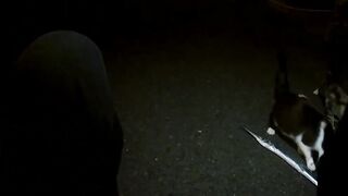 El Hierro 2 - Angeln - Rockfishing - Spinnfischen auf der kleinsten Insel der Kanaren!