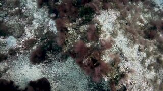 El Hierro, Punta Restinga - морская рыбалка на лавовом свале у Roque Tacorón