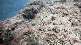 El Hierro, Punta Restinga - морская рыбалка на лавовом свале у Roque Tacorón