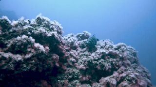 El Hierro, Punta Restinga - морская рыбалка на лавовом свале у Roque Tacorón