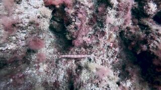 El Hierro, Punta Restinga - морская рыбалка на лавовом свале у Roque Tacorón