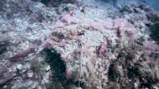 El Hierro, Punta Restinga - морская рыбалка на лавовом свале у Roque Tacorón