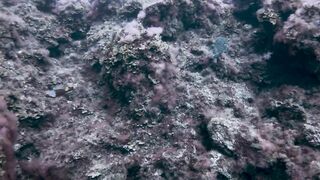 El Hierro, Punta Restinga - морская рыбалка на лавовом свале у Roque Tacorón