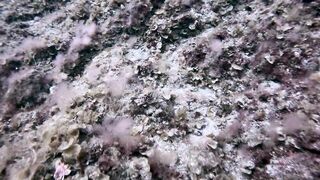 El Hierro, Punta Restinga - морская рыбалка на лавовом свале у Roque Tacorón