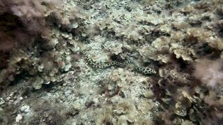 El Hierro, Punta Restinga - морская рыбалка на лавовом свале у Roque Tacorón