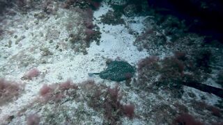 El Hierro, Punta Restinga - морская рыбалка на лавовом свале у Roque Tacorón