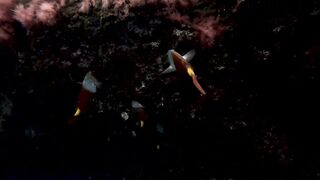 El Hierro, Punta Restinga - морская рыбалка на лавовом свале у Roque Tacorón