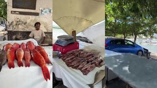 Grand Baie — рыбный рынок: морская рыбалка в Grand Baie и цены