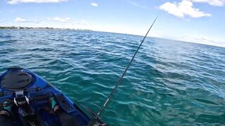 Grand Baie, Mauritius: фестиваль — морская рыбалка в Grand Baie рядом