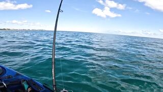 Grand Baie, Mauritius: фестиваль — морская рыбалка в Grand Baie рядом