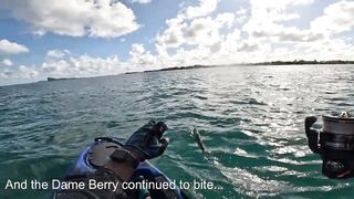 Grand Baie, Mauritius: фестиваль — морская рыбалка в Grand Baie рядом