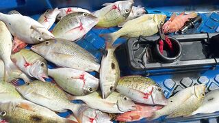 Grand Baie, Mauritius: фестиваль — морская рыбалка в Grand Baie рядом