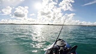 Grand Baie, Mauritius: фестиваль — морская рыбалка в Grand Baie рядом