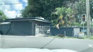 Grand Baie, The Wan: морская рыбалка на отмели для гостей