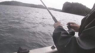 Port Louis: рыбацкий порт и где ловят местные по утрам