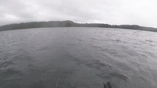 Port Louis: рыбацкий порт и где ловят местные по утрам