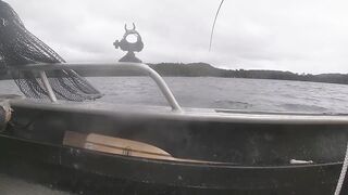 Port Louis: рыбацкий порт и где ловят местные по утрам