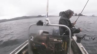 Port Louis: рыбацкий порт и где ловят местные по утрам