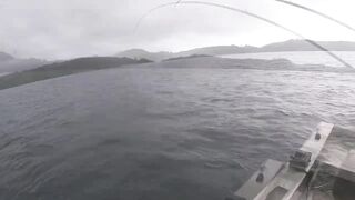 Port Louis: рыбацкий порт и где ловят местные по утрам