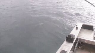 Port Louis: рыбацкий порт и где ловят местные по утрам