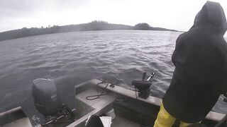 Port Louis: рыбацкий порт и где ловят местные по утрам