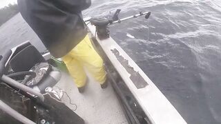 Port Louis: рыбацкий порт и где ловят местные по утрам