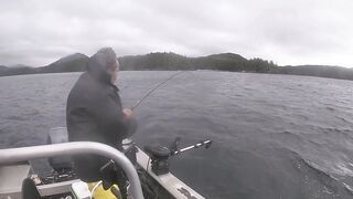 Port Louis: рыбацкий порт и где ловят местные по утрам