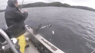 Port Louis: рыбацкий порт и где ловят местные по утрам