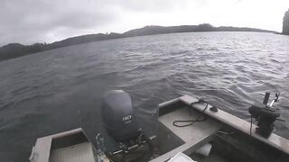 Port Louis: рыбацкий порт и где ловят местные по утрам