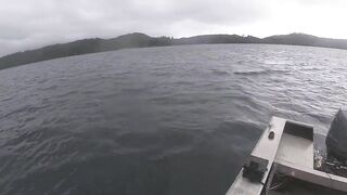 Port Louis: рыбацкий порт и где ловят местные по утрам