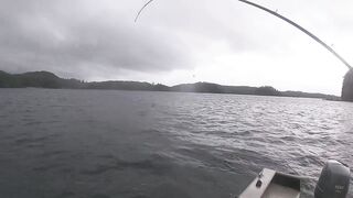 Port Louis: рыбацкий порт и где ловят местные по утрам