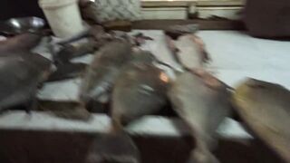 Port Louis Central Market - рыбные ряды и цены с утра