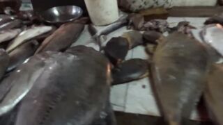 Port Louis Central Market - рыбные ряды и цены с утра