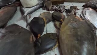 Port Louis Central Market - рыбные ряды и цены с утра