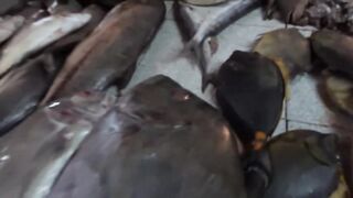 Port Louis Central Market - рыбные ряды и цены с утра