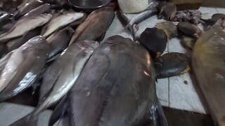 Port Louis Central Market - рыбные ряды и цены с утра